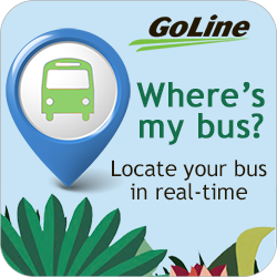 Locate Your Bus in real-time